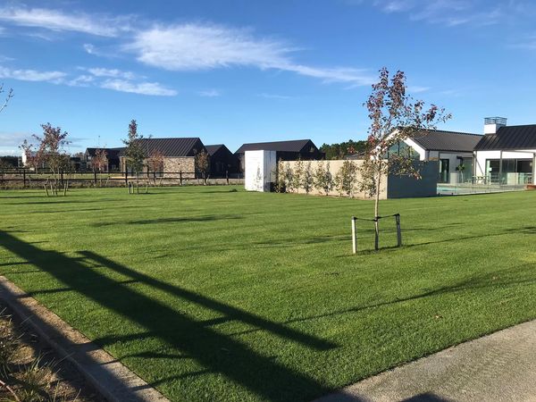 Spray on Lawn Christchurch and throughout Canterbury. For all Hydroseeding Contact Spray on Grass.